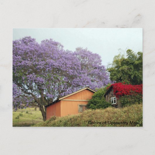 Kleuren van Up Country Maui Briefkaart (Voorkant)