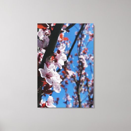 kleuren van veren canvas afdruk (Voorkant)