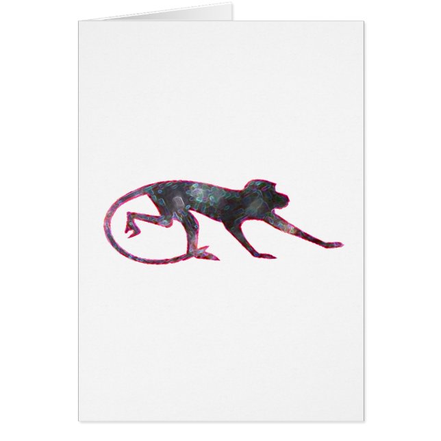 Kleurenaap (Voorkant)