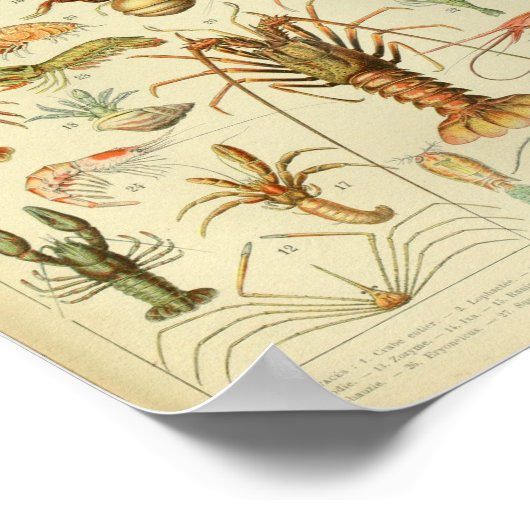  kleurenafdrukken met Zee in levensstijl Poster (Hoek)