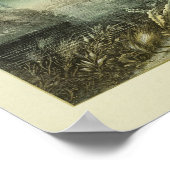 Kleurenafdrukken van zeeweed Explorers Poster (Hoek)