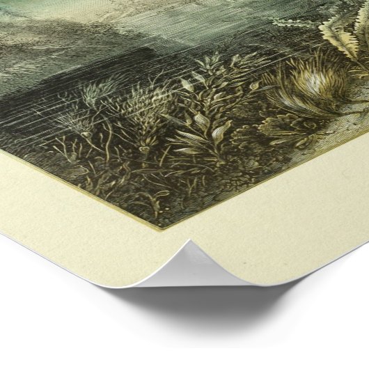 Kleurenafdrukken van zeeweed Explorers Poster (Hoek)