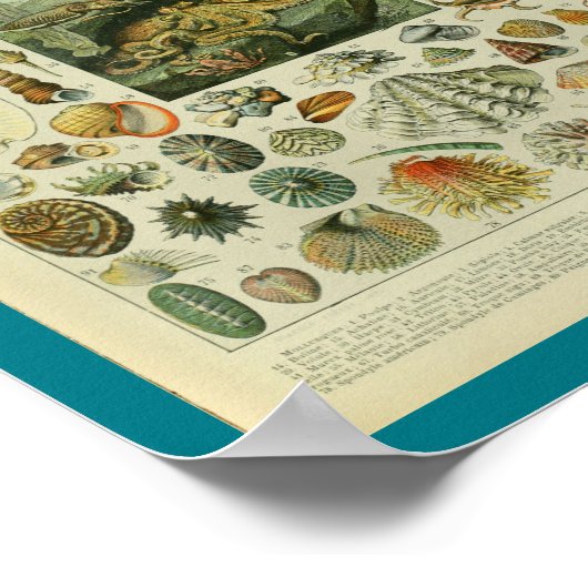  kleurenafschermkapjes afdrukken poster (Hoek)