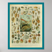  kleurenafschermkapjes afdrukken poster (Voorkant)