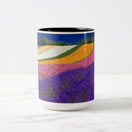 kleurenbekertje tweekleurige koffiemok (Center)