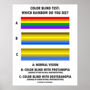 Kleurenblinde test welke regenboog ziet u? poster