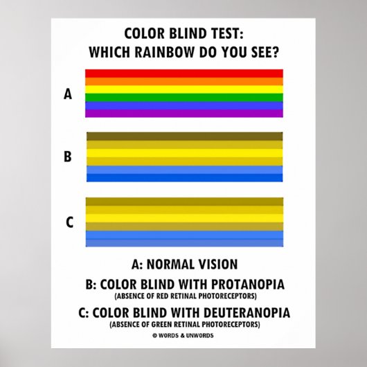 Kleurenblinde test welke regenboog ziet u? poster (Voorkant)