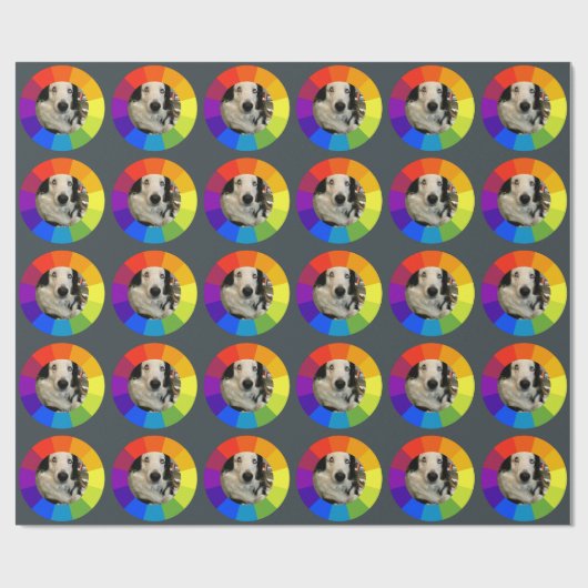 Kleurencirkel van de regenboog cadeaupapier (Vlak)