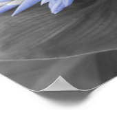 Kleurenfoto van lichte blauw ventilatorvouwen poster (Hoek)