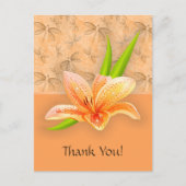 Kleurengallium en Natuur kunst in Perzikpatroon Briefkaart (Voorkant)