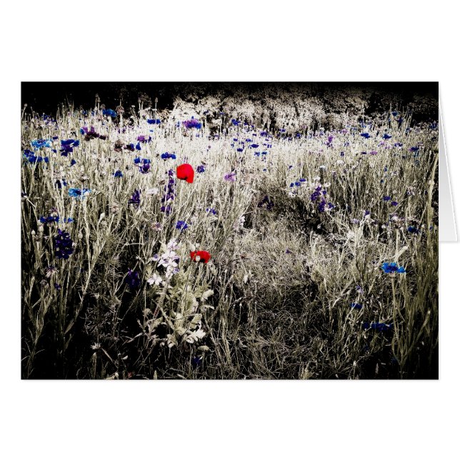 Kleurengeïsoleerde bloerkaart (Voorkant Horizontaal)