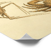 kleurenillustratie van krabben poster (Hoek)