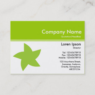 Kleurenkop III v2 - Groen - Roterende ster Visitekaartje