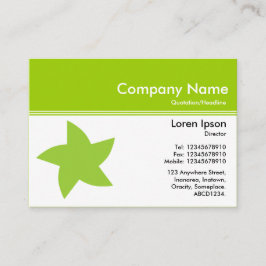 Kleurenkop III v2 - Groen - Roterende ster Visitekaartje