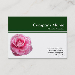 Kleurenkopbal III - Roze Camellia - Donkergroen Visitekaartje