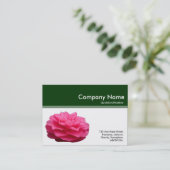 Kleurenkopbal III - Roze Camellia - Donkergroen Visitekaartje (Staand voorkant)