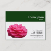 Kleurenkopbal III - Roze Camellia - Donkergroen Visitekaartje (Achterkant)