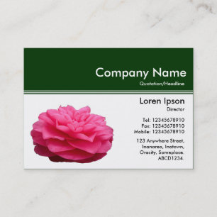 Kleurenkopbal III v2 - Donkergroen - Roze Camellia Visitekaartje