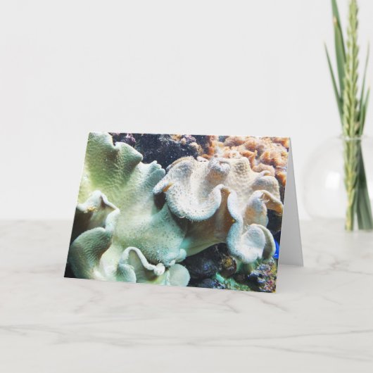 Kleurenkoraal Feestdagen Kaart (Voorkant)