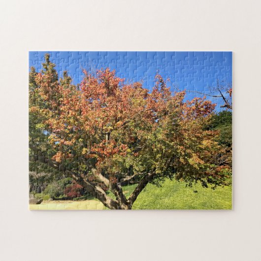 Kleurenmaasboom Legpuzzel (Horizontaal)