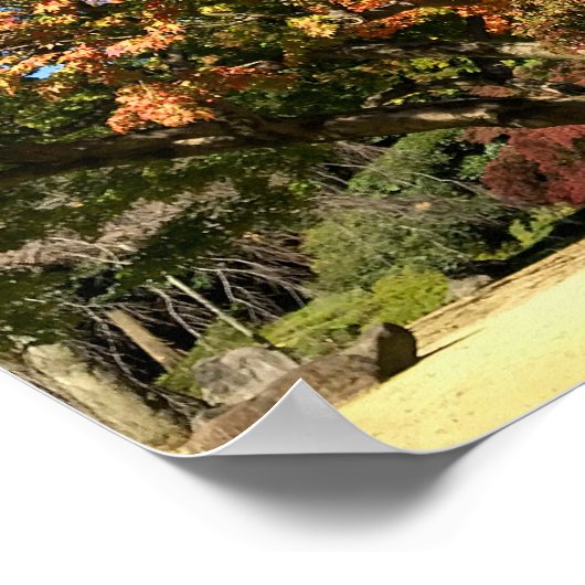 Kleurenmaasboom Poster (Hoek)