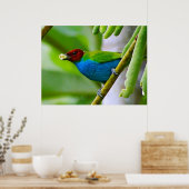 Kleurenmengsel Poster (Keuken)