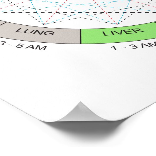 Kleurenpaarse cyclus Acupunctie Art Poster (Hoek)