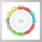 Kleurenpaarse cyclus Acupunctie Art Poster (Voorkant)