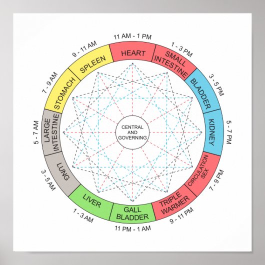 Kleurenpaarse cyclus Acupunctie Art Poster (Voorkant)
