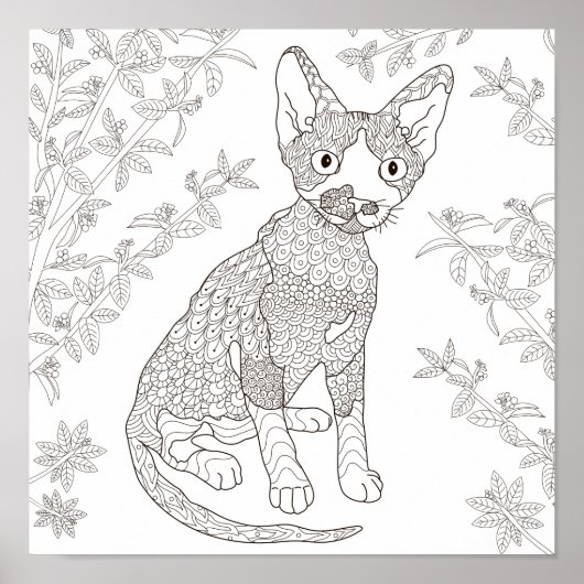 Kleurenpagina Kat in tuin Poster (Voorkant)