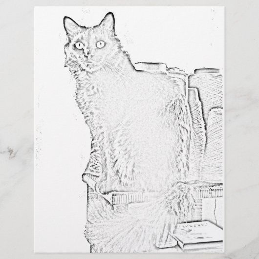 Kleurenpagina - Kat met spillen van garen (Voorkant)