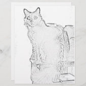 Kleurenpagina - Kat met spillen van garen (Voorkant / Achterkant)