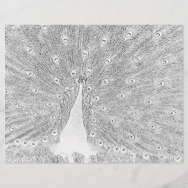 Kleurenpagina - Peacock met gebrande staart