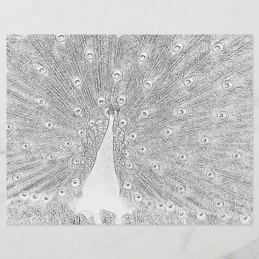 Kleurenpagina - Peacock met gebrande staart (Voorkant)