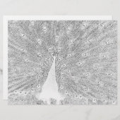 Kleurenpagina - Peacock met gebrande staart (Voorkant / Achterkant)