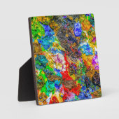 Kleurenpalet Fotoplaat (Voorkant)