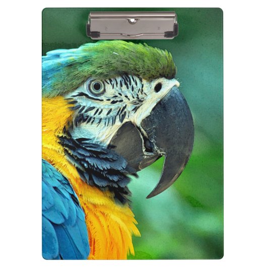 Kleurenpapegaai Klembord (Voorkant)