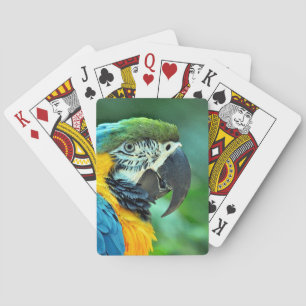Kleurenpapegaai Pokerkaarten