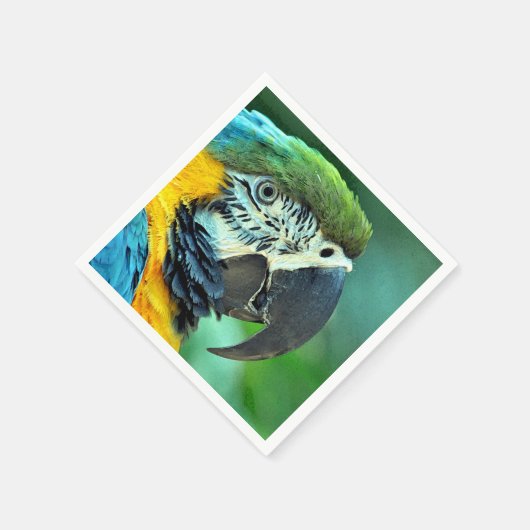 Kleurenpapegaai Servetten (Hoek)