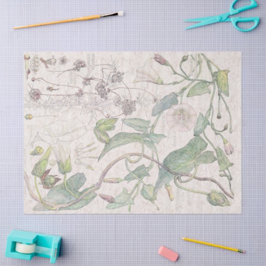 Kleurenpapier voor goudbloem tissuepapier (Craft)