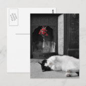 Kleurenplash Cat Briefkaart (Voorkant / Achterkant)