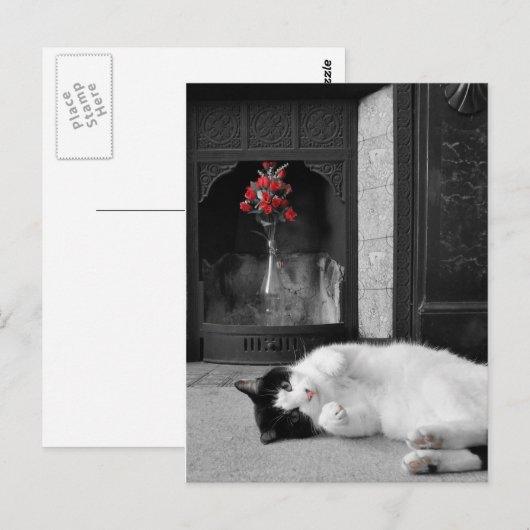 Kleurenplash Cat Briefkaart (Voorkant / Achterkant)