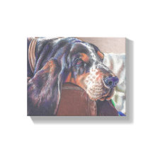 kleurenpotloodtekening van bonthond op canvas