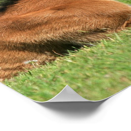 Kleurenrust in grasafdrukken poster (Hoek)