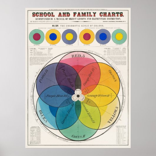 Kleurenschaalposter Poster (Voorkant)