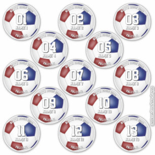 kleurenschema voetbalteam geschenken 13 spelers sticker