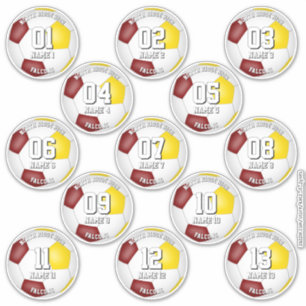 kleurenschema voetbalteam geschenken 13 spelers sticker
