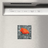 Kleurensleutel Poppy Magnet (Insitu (Vaatwasser))
