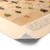  kleurensnijkunst afdrukken poster (Hoek)