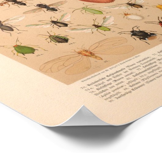 kleurensnijkunst afdrukken poster (Hoek)